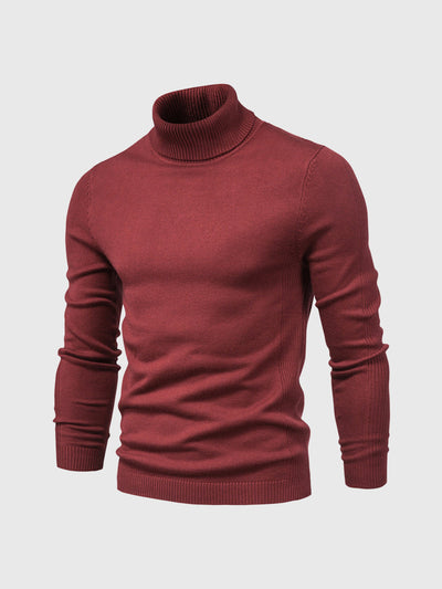 Rik | Waschbar Herren Rollkragenpullover von hoher Qualität