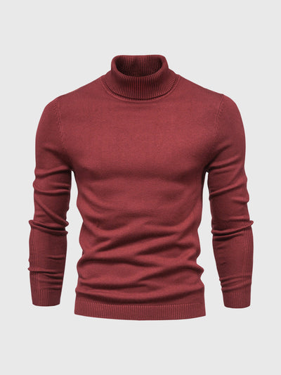 Rik | Waschbar Herren Rollkragenpullover von hoher Qualität