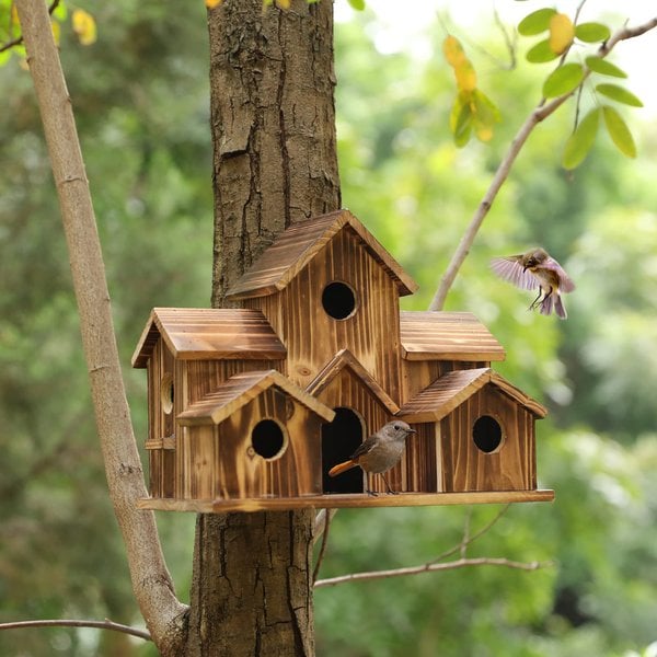 Casa para pájaros funcional WillowNest de madera