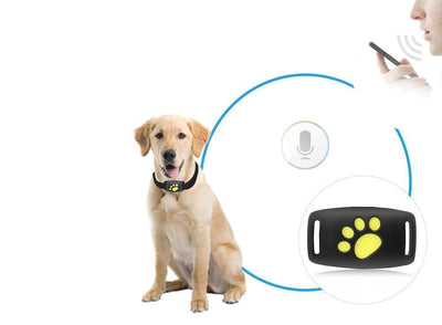 PAWTRACK MINI - Rastreador GPS compacto para gatos con monitoreo de ubicación en tiempo real