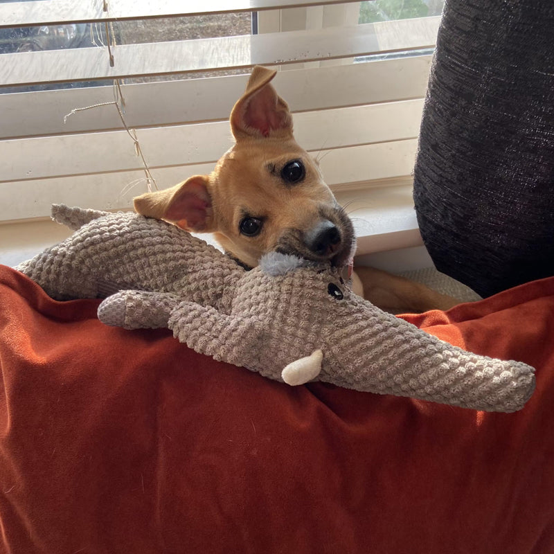 Juguete extrafuerte para perros que muerden agresivamente: duradero y seguro.