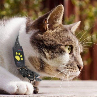 Sistema de rastreo GPS para gatos y perros con actualizaciones de ubicación en tiempo real: compacto y liviano