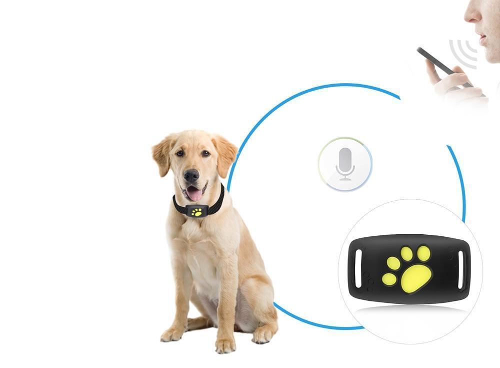 Sistema de rastreo GPS para gatos y perros con actualizaciones de ubicación en tiempo real: compacto y liviano