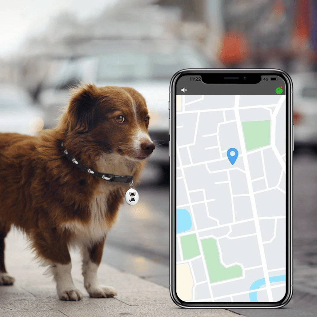 NARA - Rastreador GPS para mascotas con Bluetooth y diseño resistente al agua: compacto y ligero para mayor seguridad