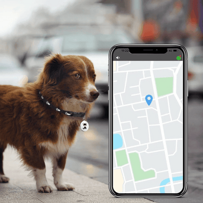 NARA - Rastreador GPS para mascotas con Bluetooth y diseño resistente al agua: compacto y ligero para mayor seguridad