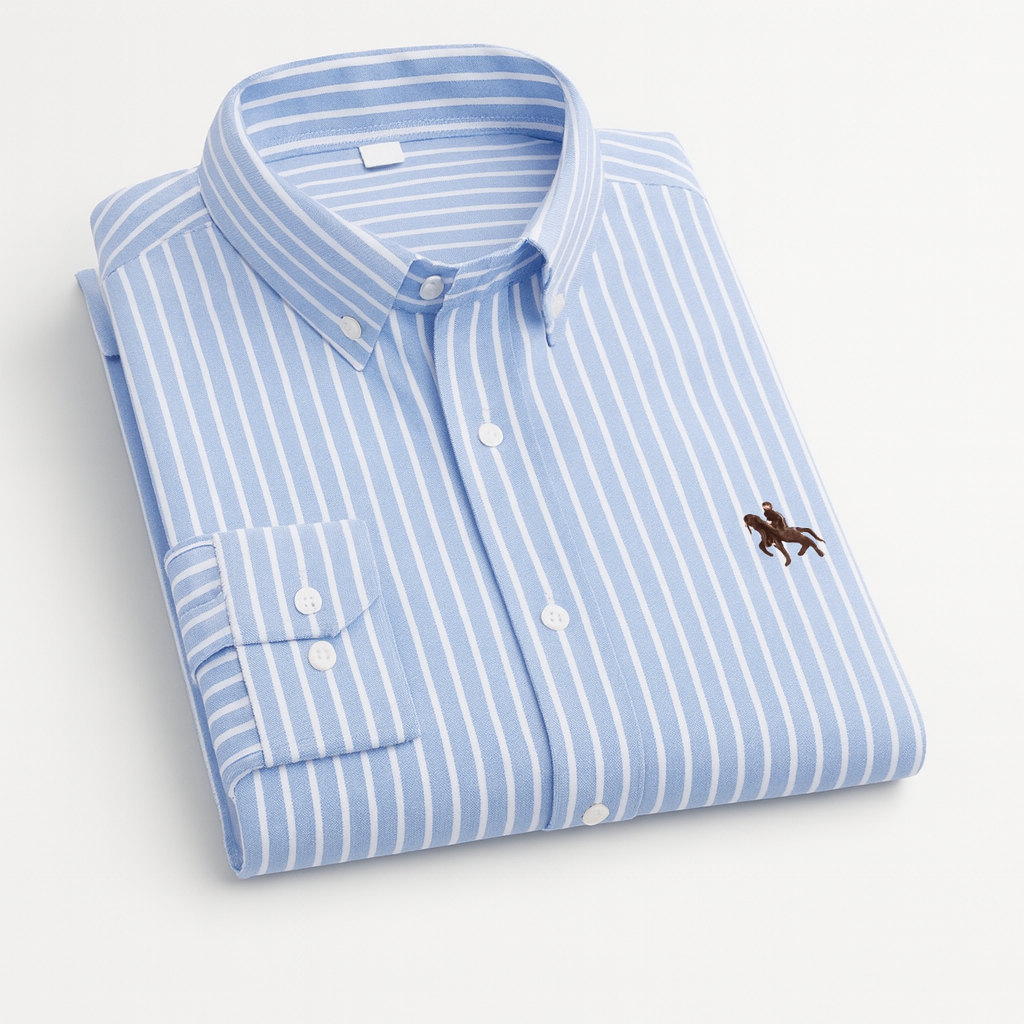 Striped shirt with embroidered detail blue