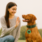 PetTrack – Compact GPS Tracker for Pets, Children & Valuables