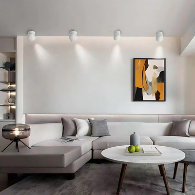 Foco de techo LED orientable fabricado en aluminio